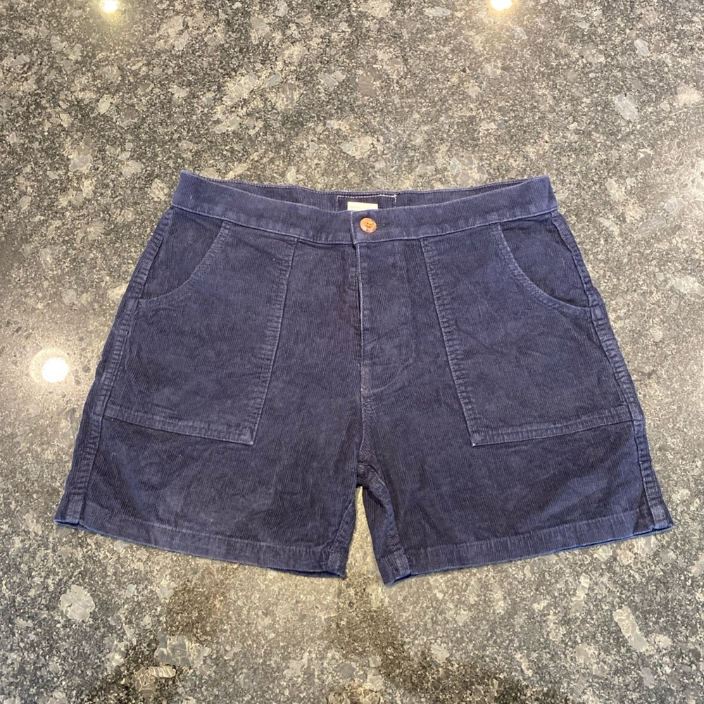 Birdwell Navy Blue Men's Shorts